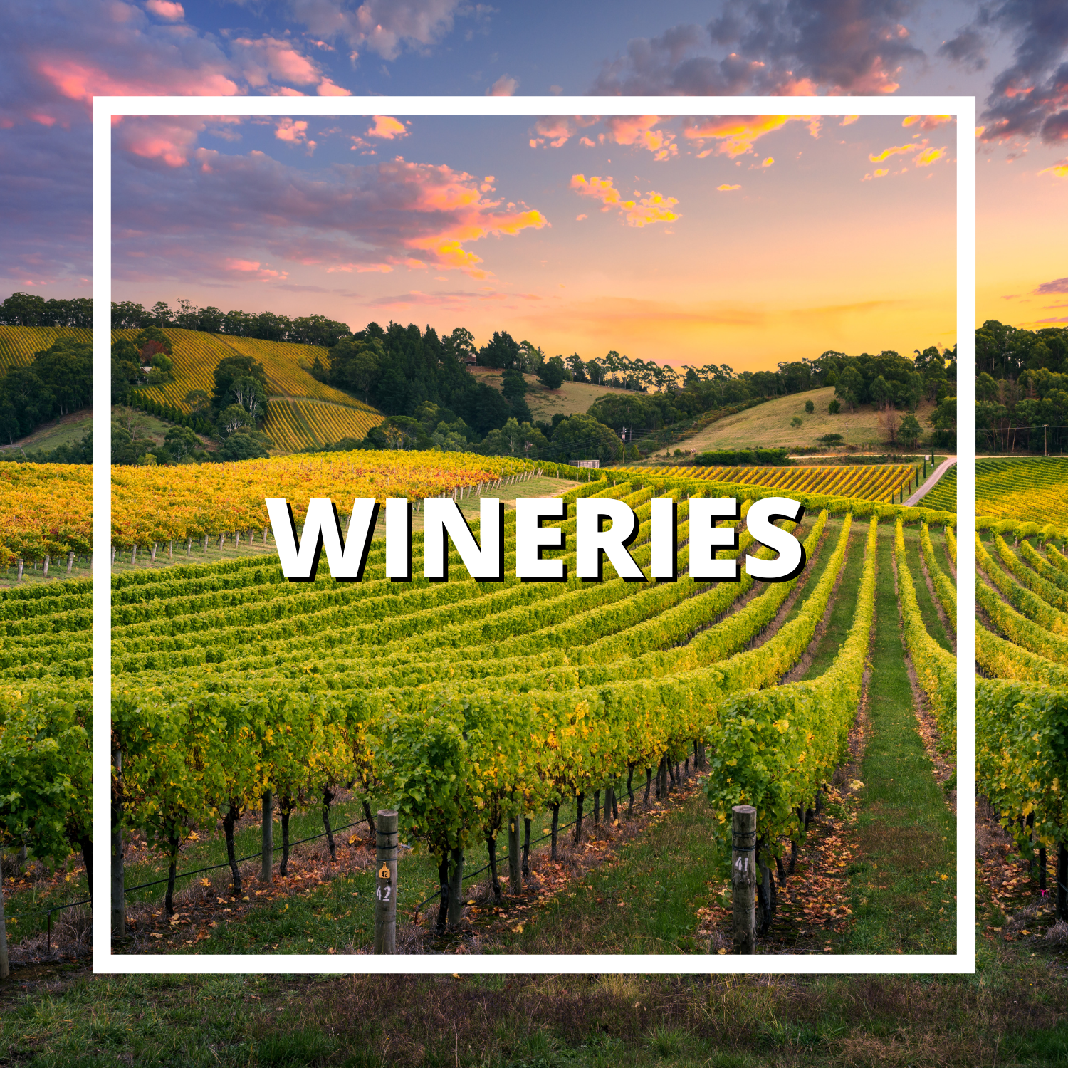 Wineries, Home, Local, Vineyard, Willamette Valley, Oregon, Josie Carothers, Real Estate